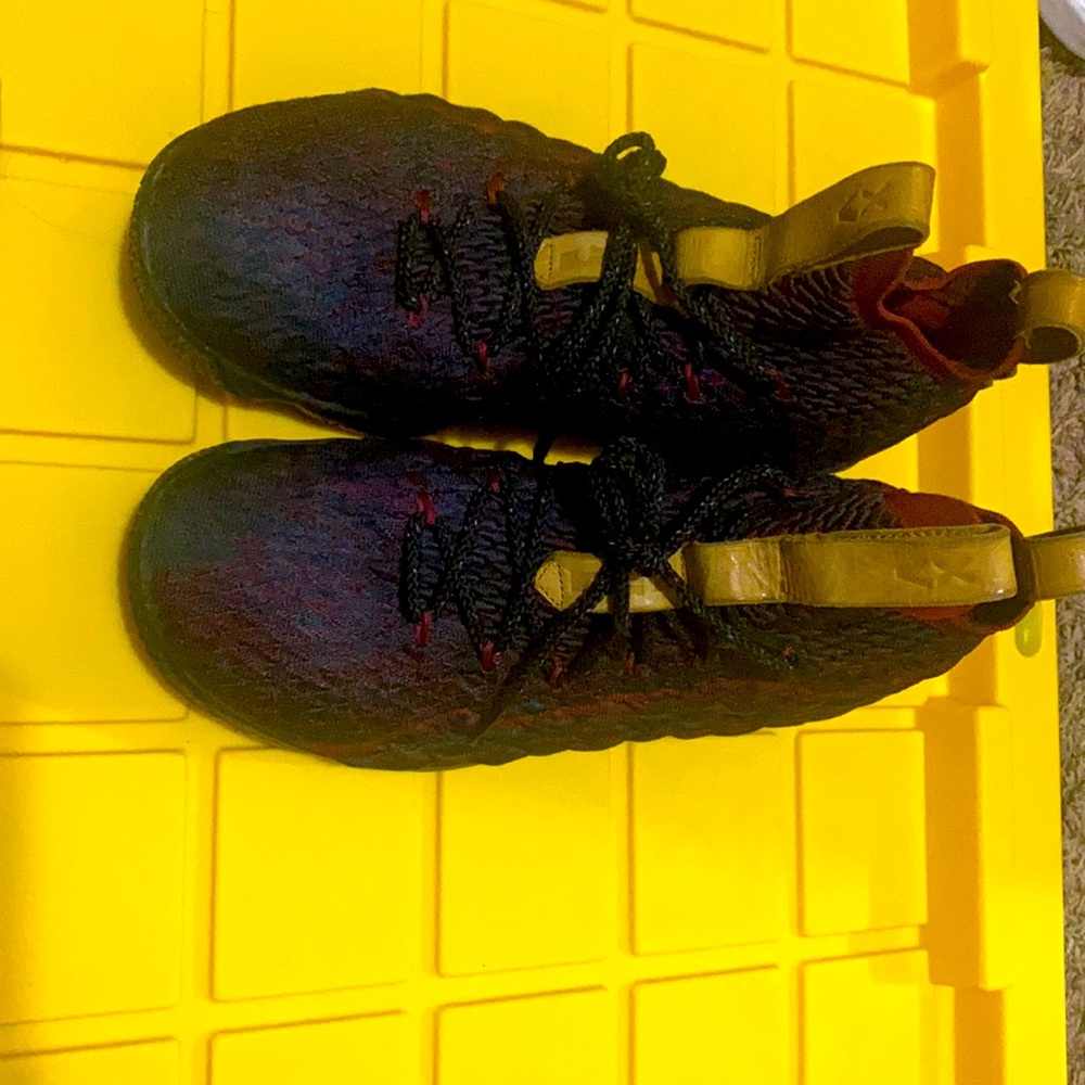 LeBron 15